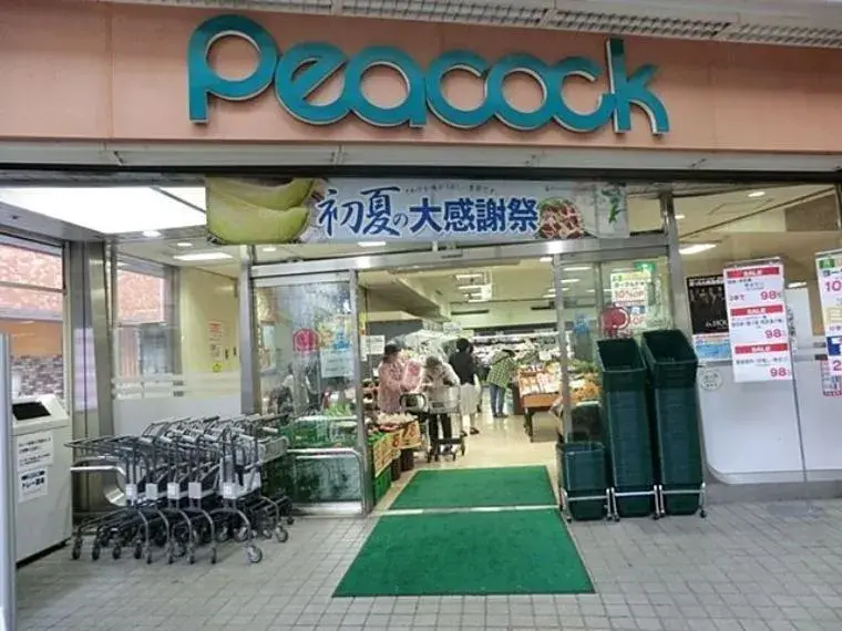 3LDK Property Suginami-ku Tokyo (9)