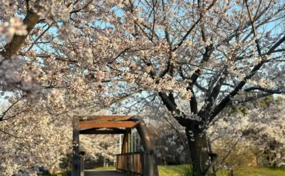 5DK Inmueble Ciudad de Izumiotsu Prefectura de Osaka (3)