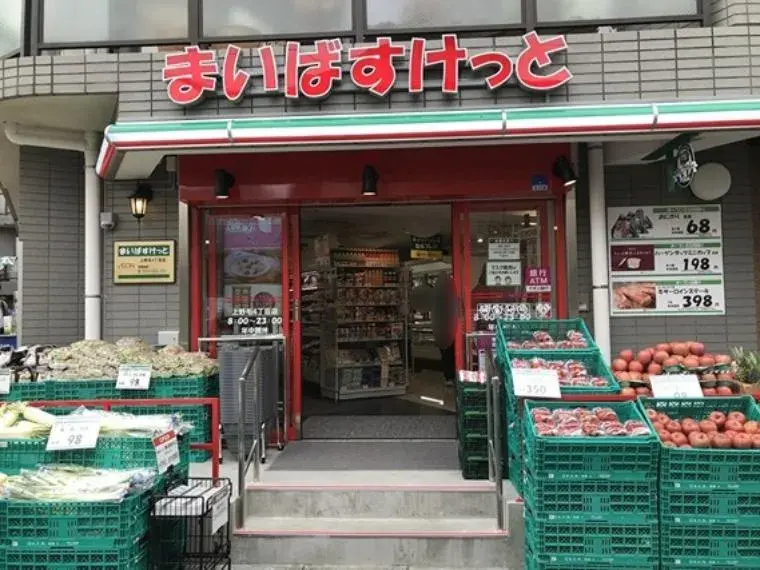 4LDK房产 世田谷区 东京都 (11)