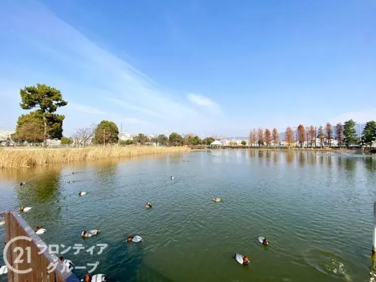 4DK Property Kadoma City Osaka Prefecture (26)