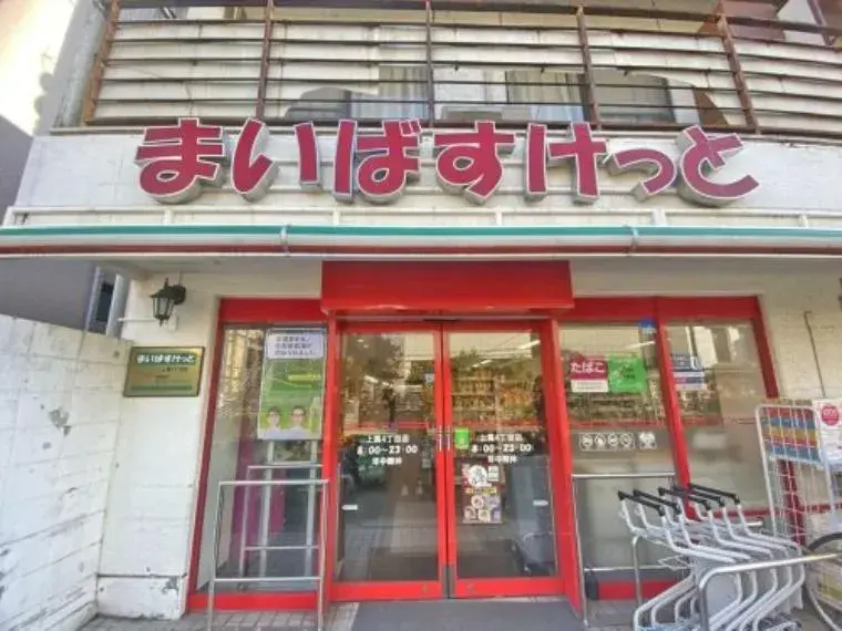 5SLDK Setagaya-ku Tokyo Property (6)
