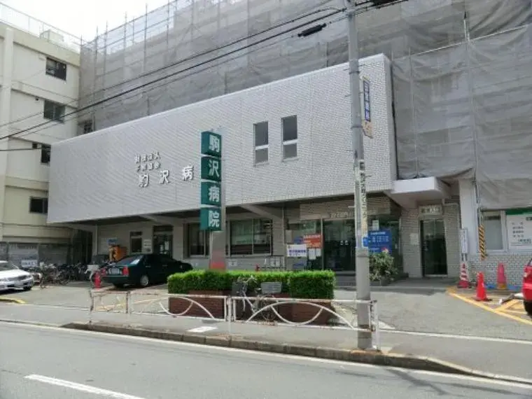 5SLDK Setagaya-ku Tokyo Property (9)