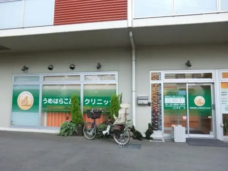 4LDK Property Setagaya Ward Tokyo (27)