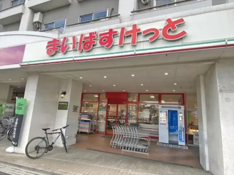 4SLDK Property Setagaya-ku Tokyo (34)
