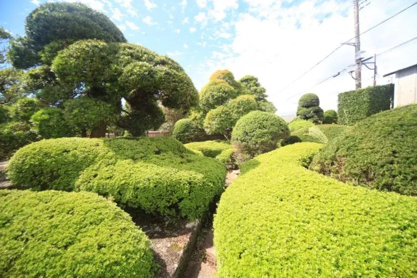 6SDK Sanbu-gun Yokoshibahikari-machi Chiba Prefecture (32)
