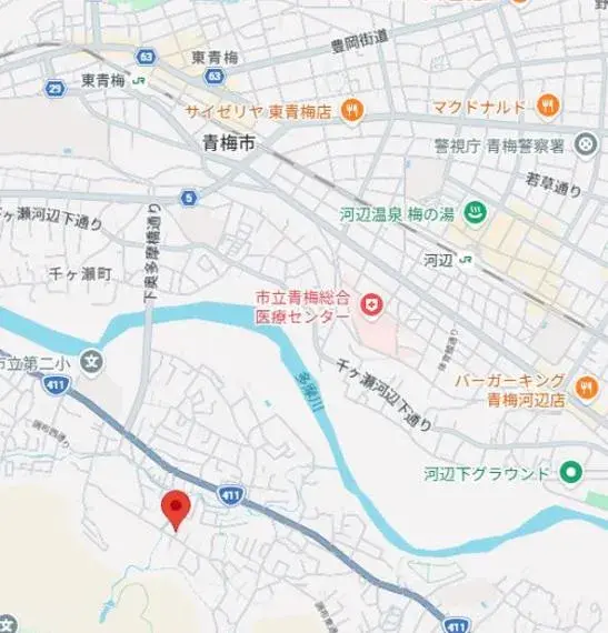5LDK Property Ome City Tokyo (21)
