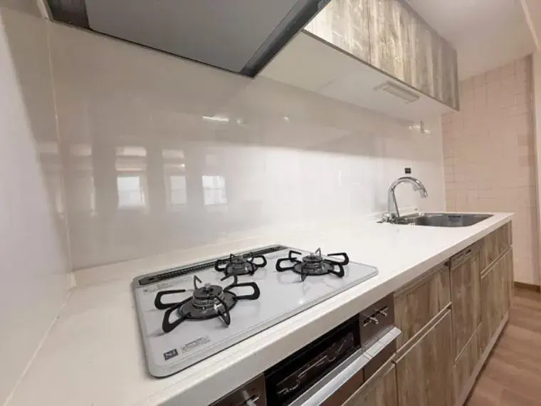 5LDK property Itabashi-ku Tokyo (16)
