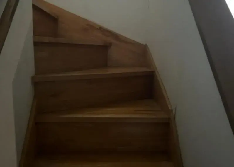 3LDK Property Hachioji City Tokyo (23)