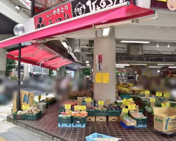 3LDK Property Setagaya Ward Tokyo (13)