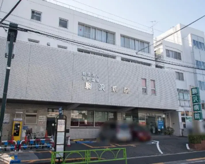 3LDK Property Setagaya Ward Tokyo (17)