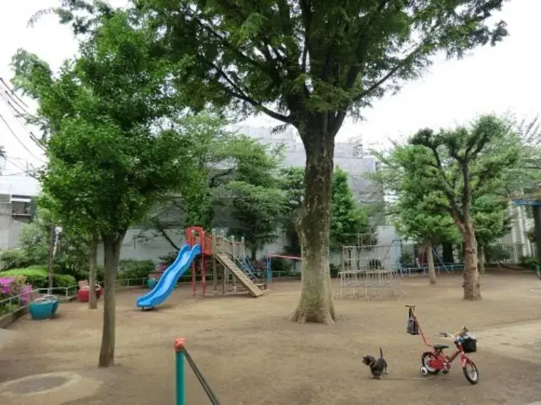 3LDK房产 涩谷区 东京都 (25)