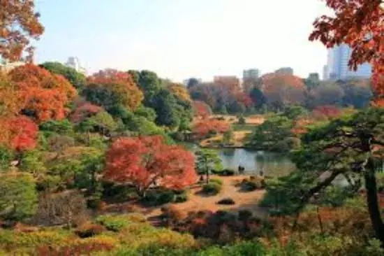 3LDK Bunkyo-ku Tokyo (20)