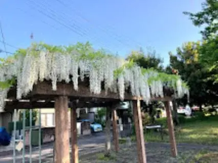 4LDK Propiedad Ciudad de Kazo Saitama (16)
