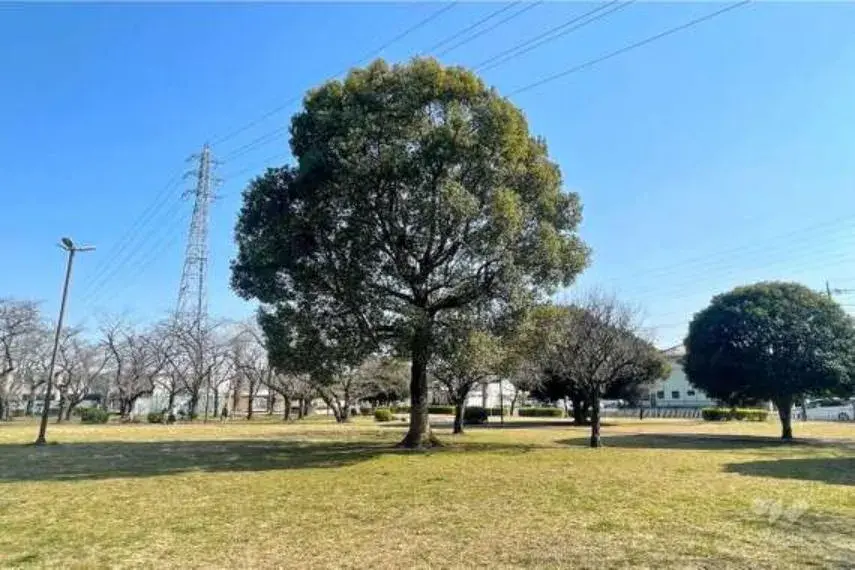 5LDK以上 川口市 埼玉県 (6)