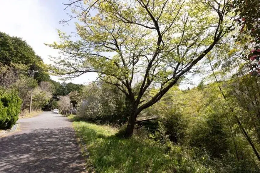 3LDK Propiedad Ciudad de Izu-no-kuni Prefectura de Shizuoka (21)
