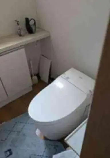 4LDK Property Sodegaura City Chiba Prefecture (9)