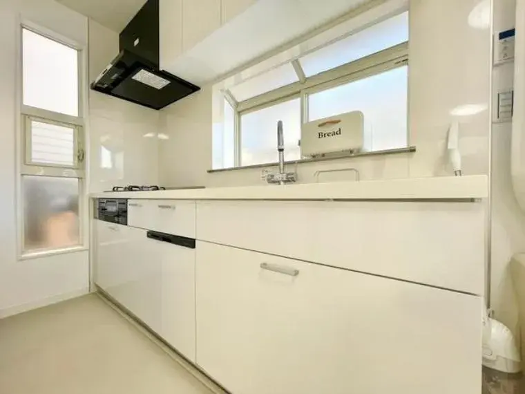 3LDK Shinjuku-ku Tokyo (23)