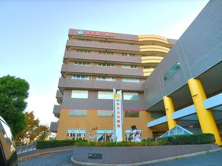 2SLDK Shinagawa-ku Tokyo (32)