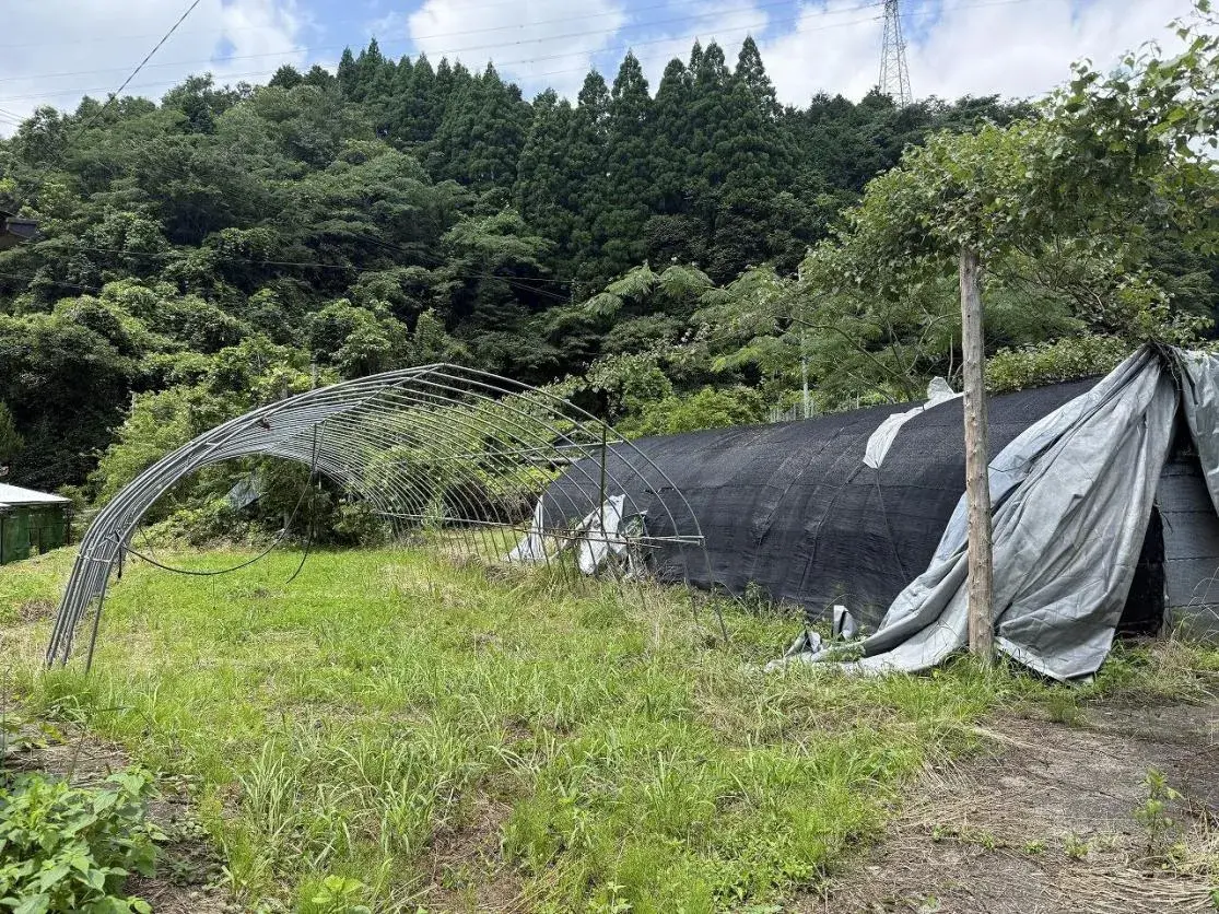 6DK Bungo-Ono City Oita Prefecture (4)