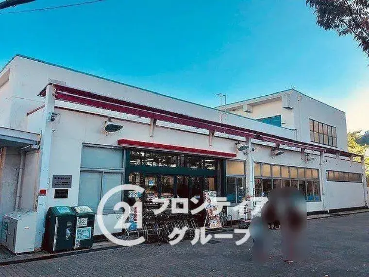 5SDK Distrito de Suma, Ciudad de Kobe Prefectura de Hyogo (31)
