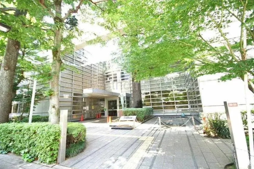 6LDK Suginami Ward Tokyo (23)