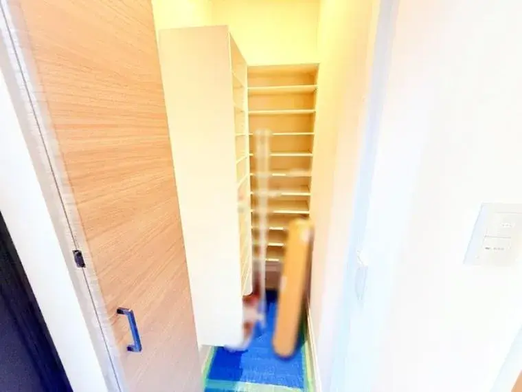 3LDK Property Ichikawa City Chiba Prefecture (18)