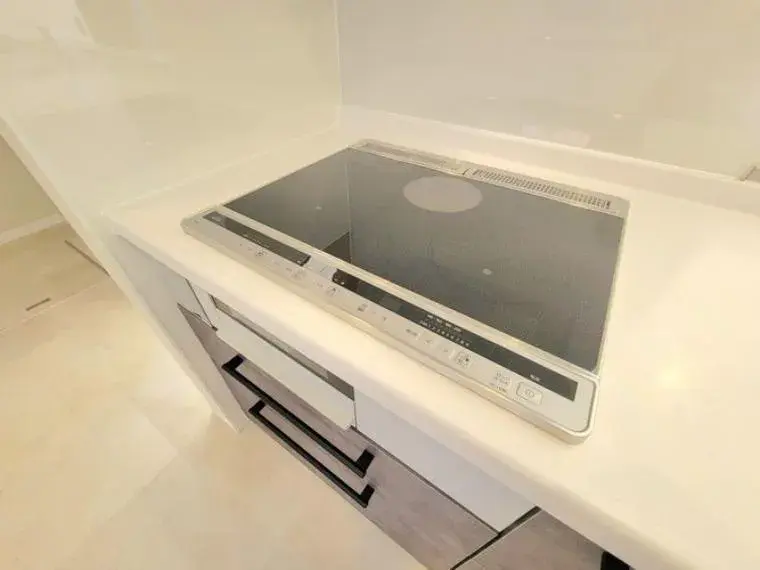 4LDK Property Chiba City Chiba (23)