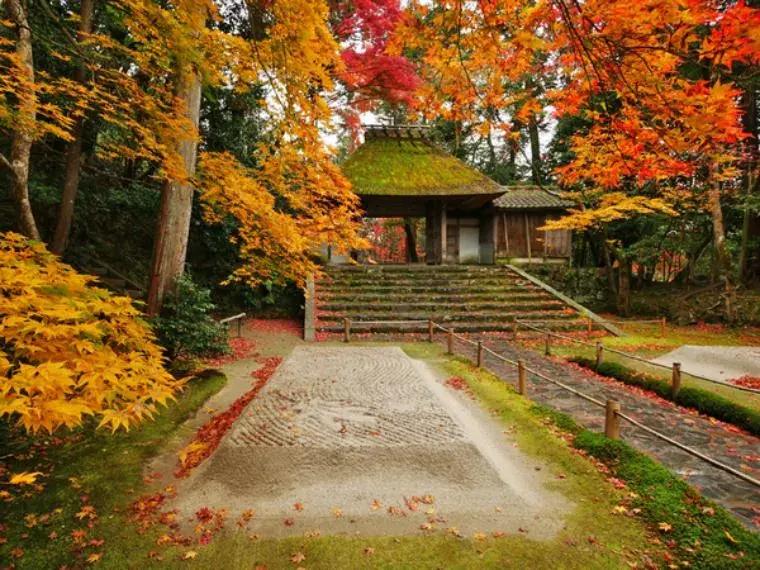 Propriété 3LDK, Ville de Kyoto, Préfecture de Kyoto (9)