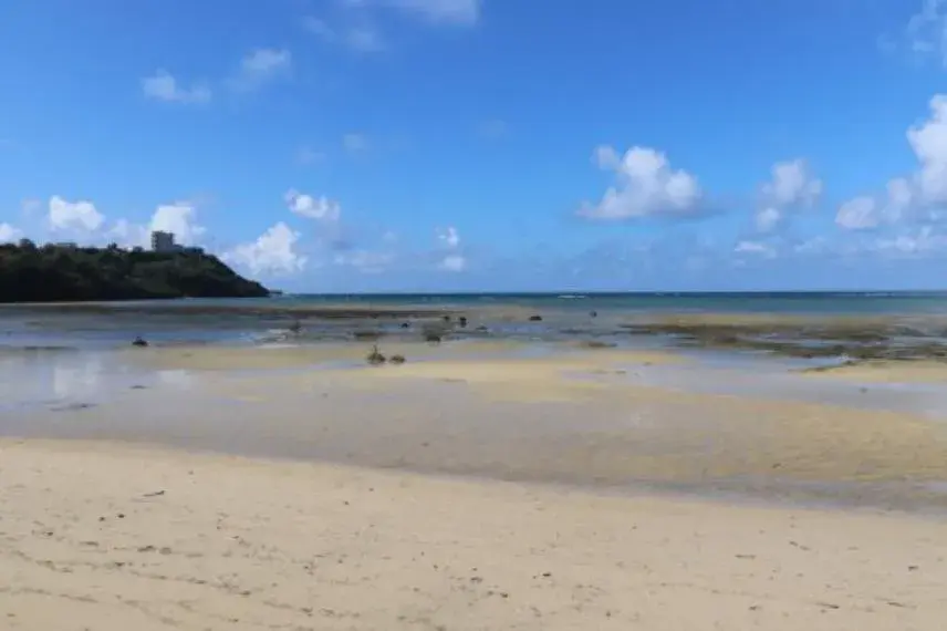 1R Property Yomitan Village Okinawa Prefecture (13)