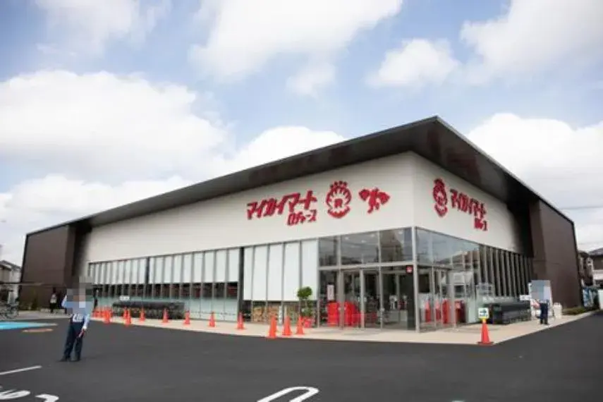 4LDK Property Ageo City Saitama Prefecture (13)