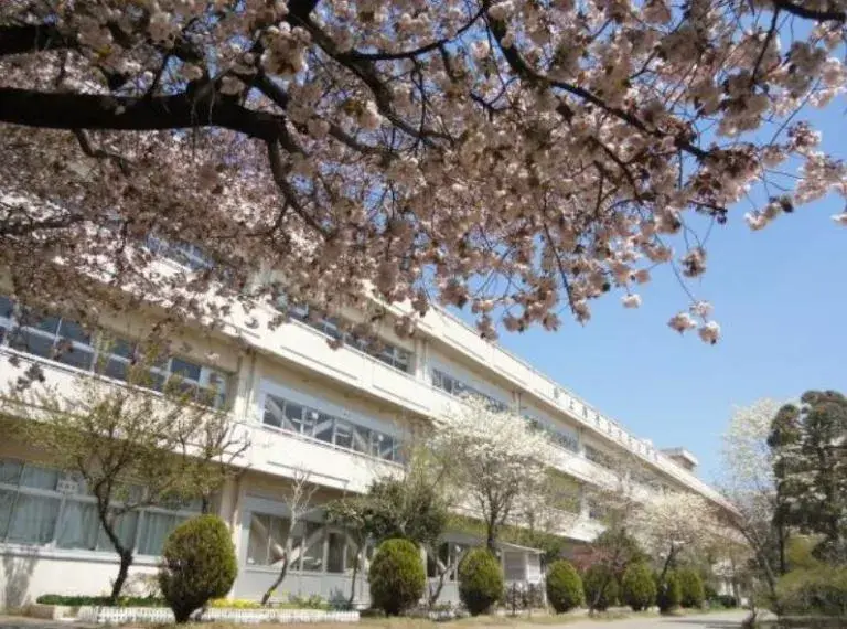 4LDK Property Ageo City Saitama Prefecture (8)