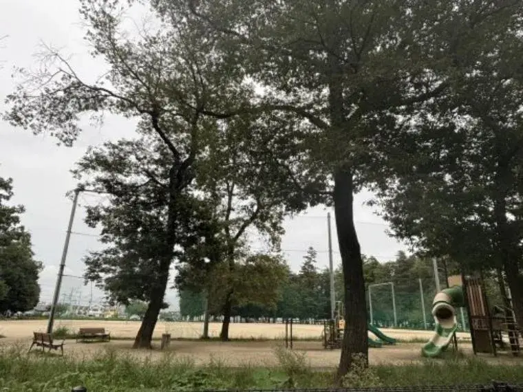 4LDK Property Ageo City Saitama Prefecture (10)