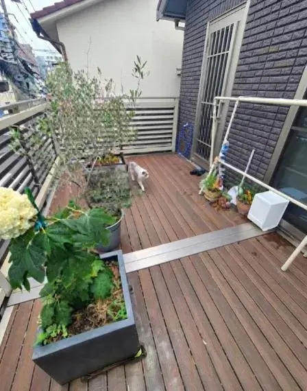 4SLDK Shinagawa Ward Tokyo Property (6)