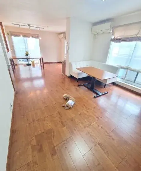 4SLDK Shinagawa Ward Tokyo Property (7)