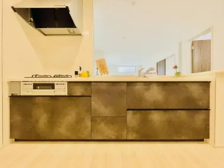 3LDK Property Ayase City Kanagawa Prefecture (19)