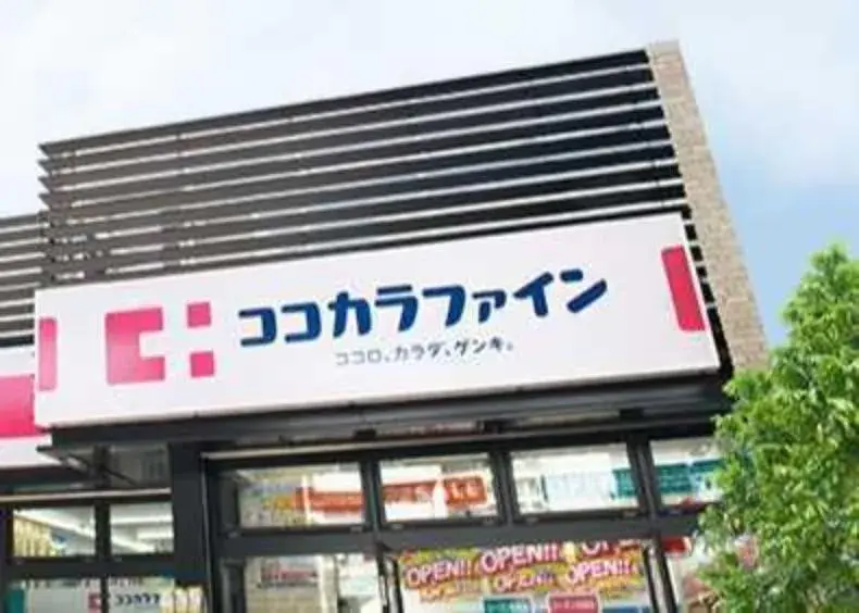 4LDK+S Toyota City Aichi Prefecture (33)