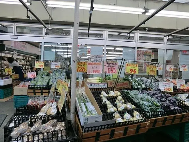 3LDK Naka Ward, Yokohama City, Kanagawa Prefecture (3)