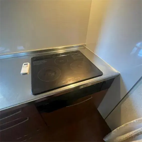 4LDK Property Shizuoka City Shizuoka Prefecture (12)