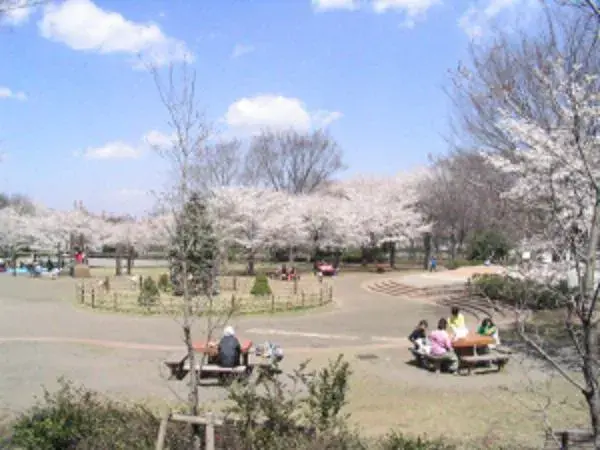 3LDK+S Property Higashimurayama City Tokyo (33)