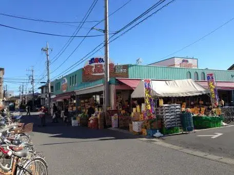 5LDK Kashiwa City Chiba Prefecture (26)