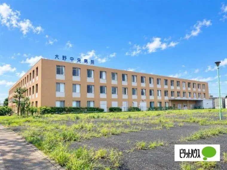 3LDK Ichikawa City Chiba Prefecture (13)
