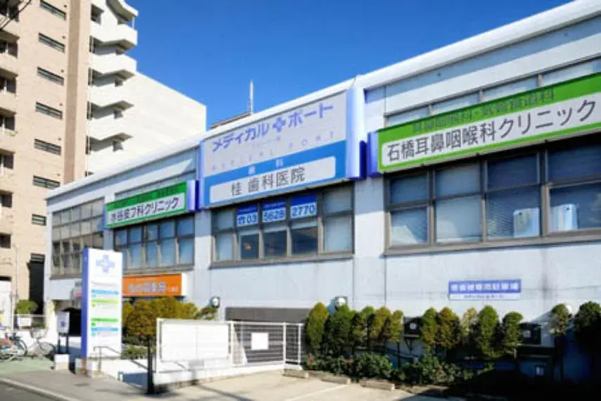 3LDK Property Koto-ku Tokyo (12)