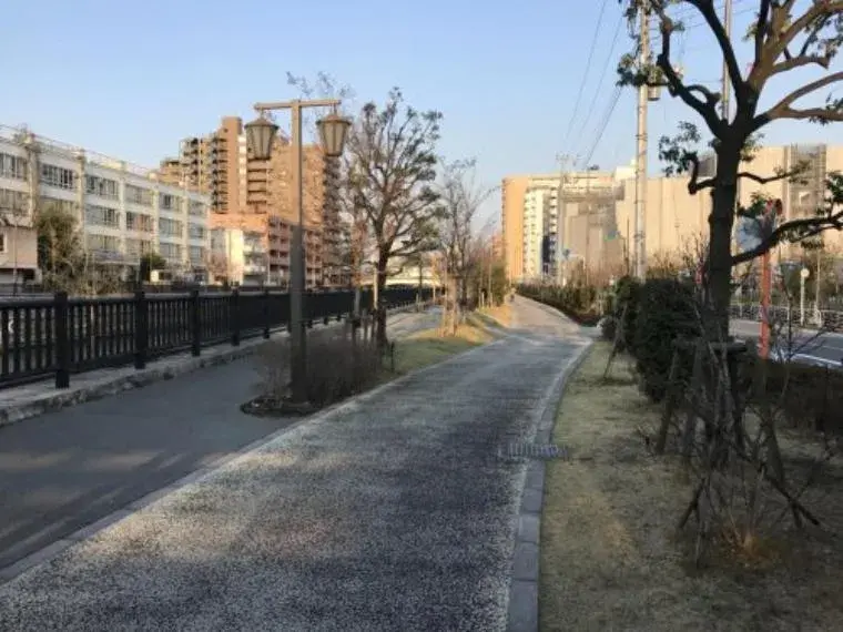 3LDK Property Koto-ku Tokyo (13)