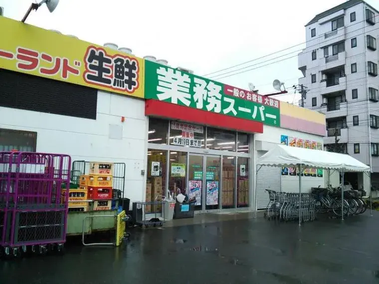 三室两厅+阁楼储藏房产 足立区 东京都 (6)