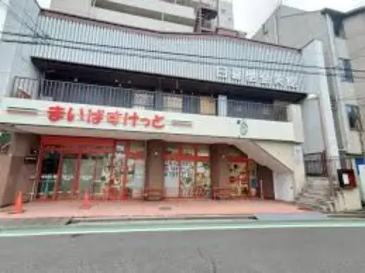 5LDK Arakawa Ward Tokyo Property (14)