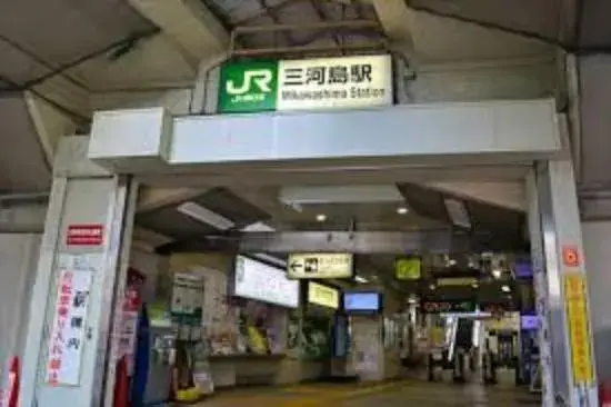 5LDK Arakawa Ward Tokyo Property (18)