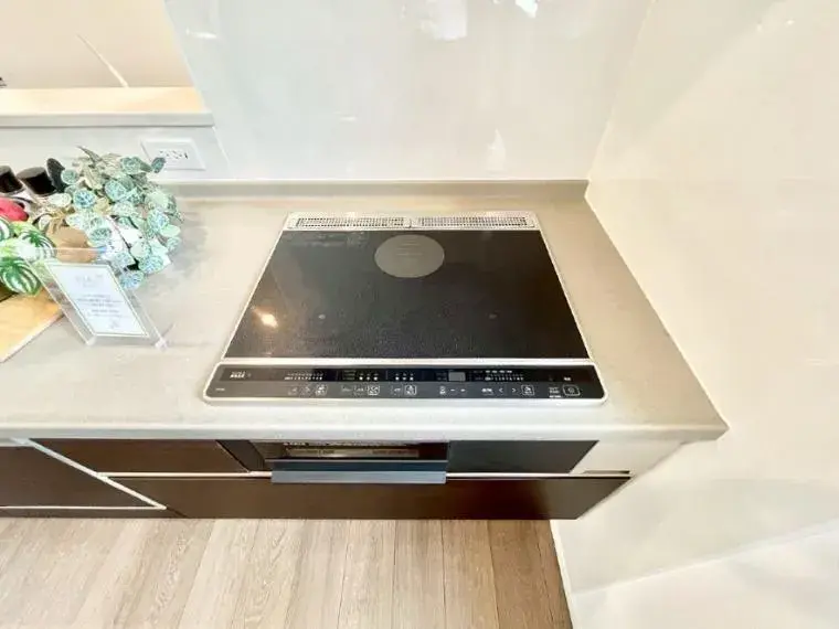 2LDK Property Kisarazu City Chiba Prefecture (20)