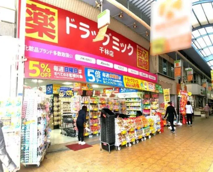 5LDK Property Osaka City Osaka Prefecture (6)