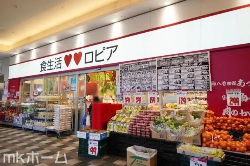 4LDK Ville de Yachiyo, Préfecture de Chiba (27)