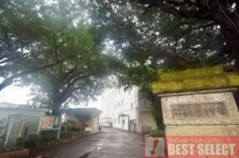 Akiya in Saitama